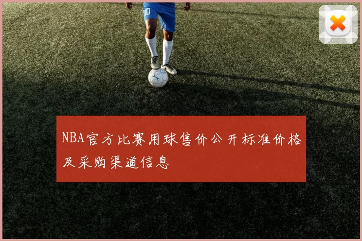 NBA官方比赛用球售价公开标准价格及采购渠道信息