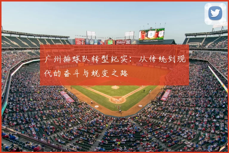 广州排球队转型纪实:从传统到现代的奋斗与蜕变之路