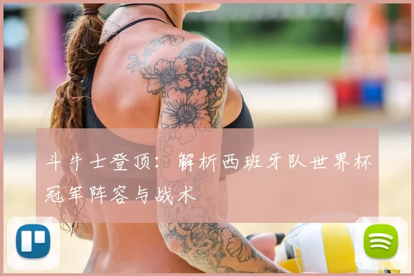 斗牛士登顶:解析西班牙队世界杯冠军阵容与战术