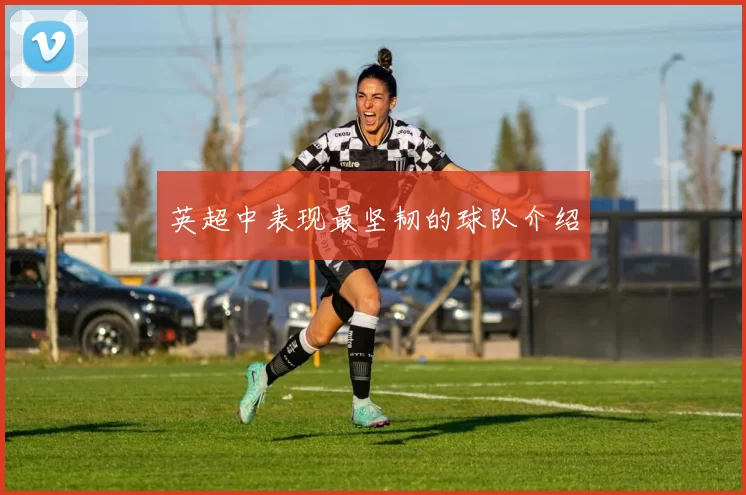 英超中表现最坚韧的球队介绍