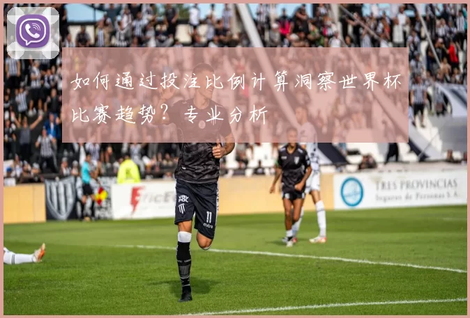 如何通过投注比例计算洞察世界杯比赛趋势？专业分析