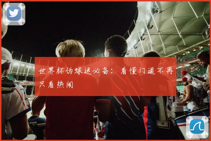 世界杯伪球迷必备:看懂门道不再只看热闹
