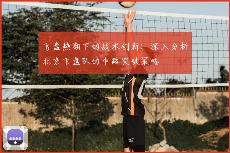 飞盘热潮下的战术创新：深入分析北京飞盘队的中路突破策略