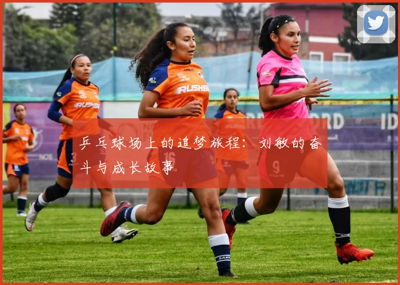 乒乓球场上的追梦旅程：刘敏的奋斗与成长故事