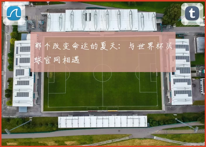 那个改变命运的夏天：与世界杯买球官网相遇