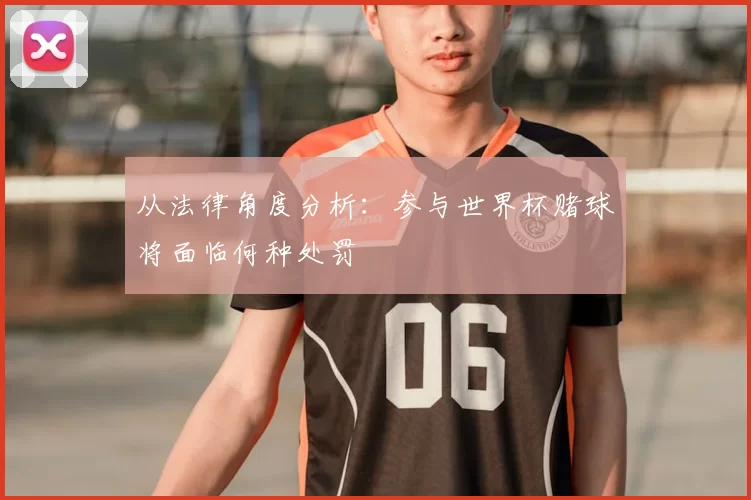 从法律角度分析:参与世界杯赌球将面临何种处罚