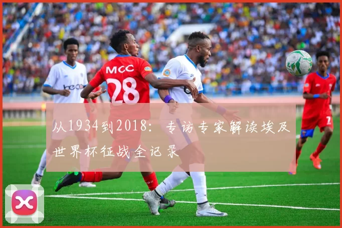 从1934到2018:专访专家解读埃及世界杯征战全记录