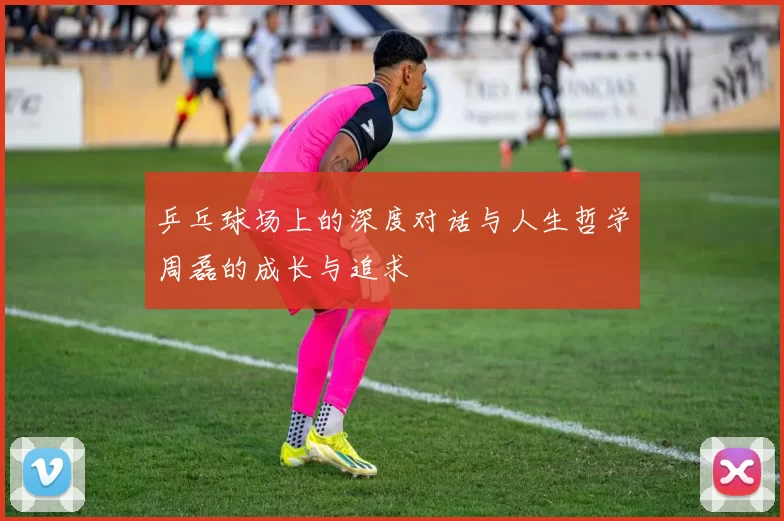 乒乓球场上的深度对话与人生哲学周磊的成长与追求