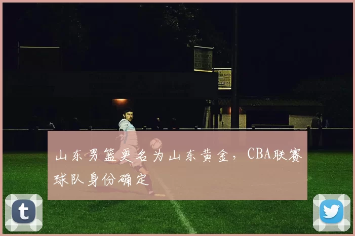 山东男篮更名为山东黄金，CBA联赛球队身份确定