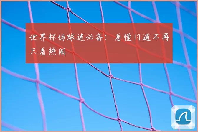 世界杯伪球迷必备：看懂门道不再只看热闹