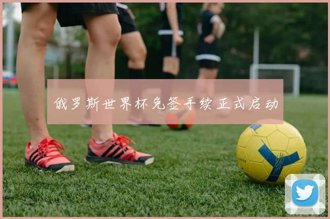 俄罗斯世界杯免签手续正式启动
