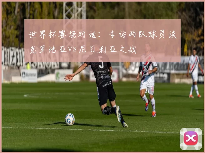 世界杯赛场对话：专访两队球员谈克罗地亚vs尼日利亚之战