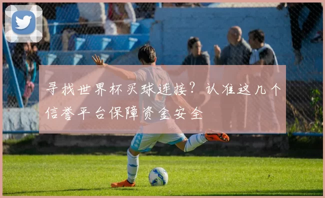 寻找世界杯买球连接？认准这几个信誉平台保障资金安全