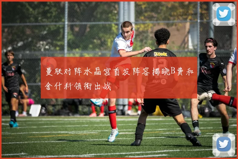 曼联对阵水晶宫首发阵容揭晓B费和舍什科领衔出战