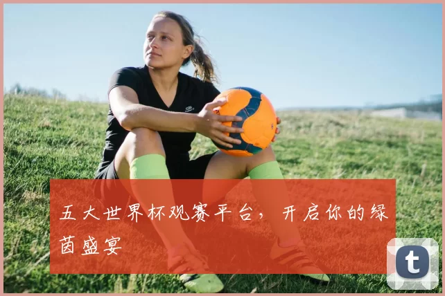 五大世界杯观赛平台,开启你的绿茵盛宴