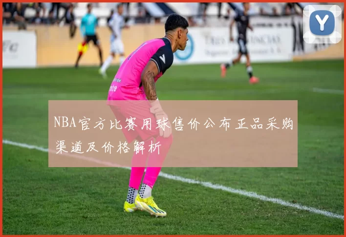 NBA官方比赛用球售价公布正品采购渠道及价格解析