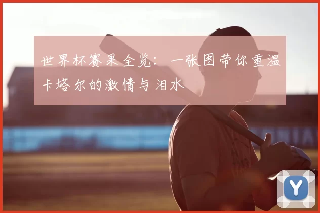 世界杯赛果全览：一张图带你重温卡塔尔的激情与泪水